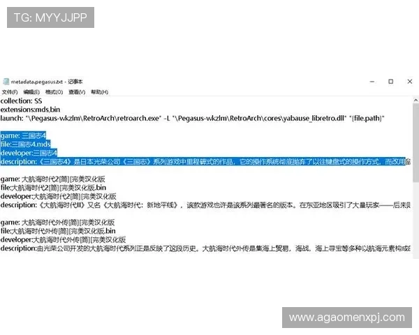 提升足球现金网登录线路稳定性的方法与实用技巧让你无忧畅玩每一场比赛